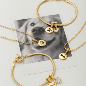 Colar Pet Love